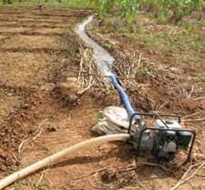 Irrigation system in vegetable farm