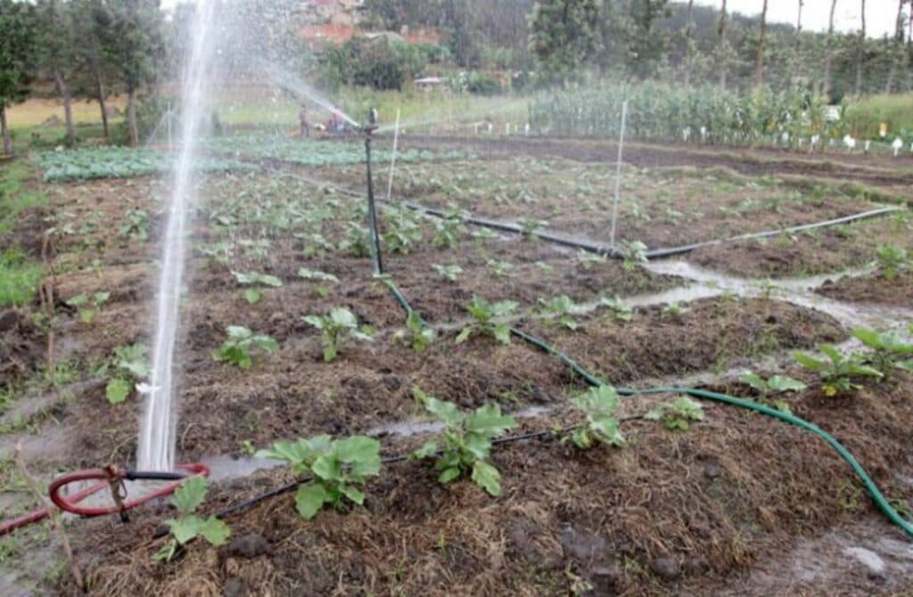Irrigation system demonstration